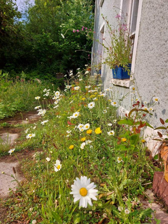 A wildlife-friendly border