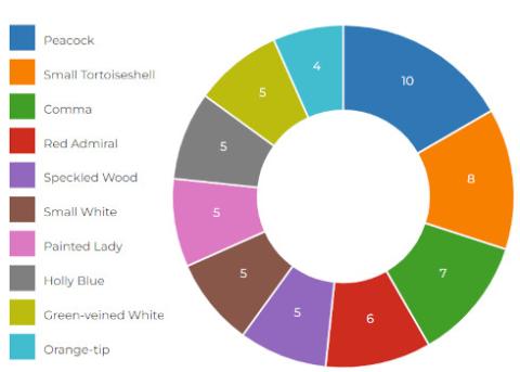 Results pie chart