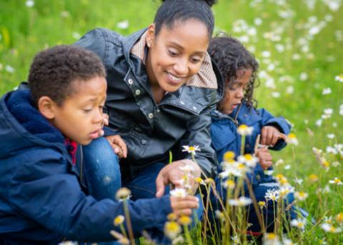 A family enjoying nature